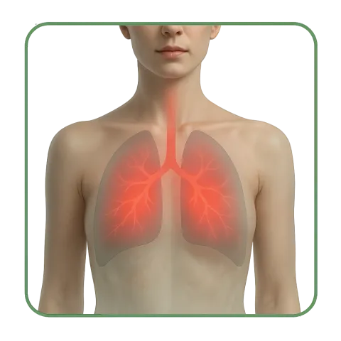 Médicaments avec des Antibiotiques