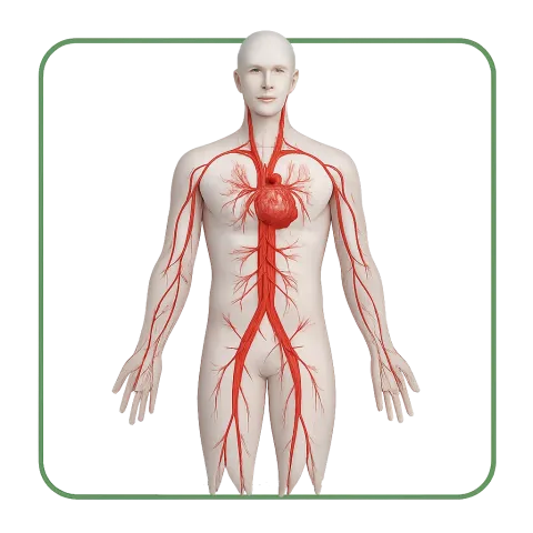 Médicaments avec des Anticoagulants