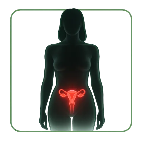 Médicaments avec des Contraceptifs