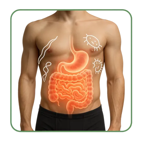 Médicaments avec des Antiparasitaires