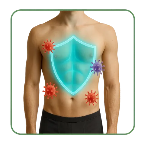 Médicaments avec des Antiviraux