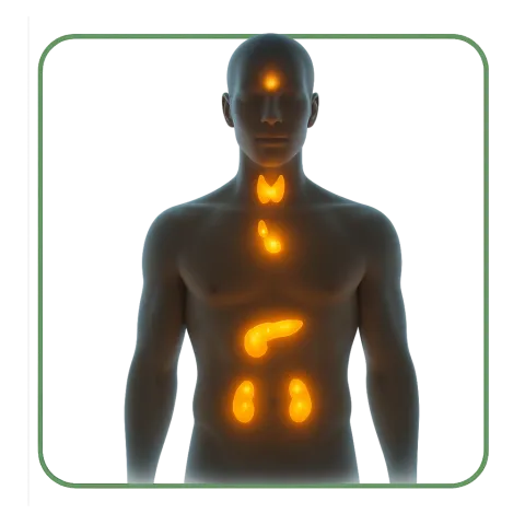Médicaments avec des Hormones