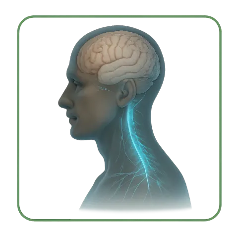 Médicaments avec des Anticonvulsivants
