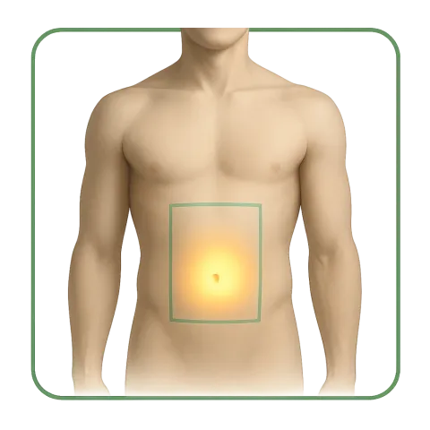 Médicaments avec des Préparations Chirurgicales