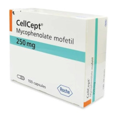 Mycophénolate mofétil