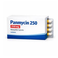 Panmycin 250/500 mg comprimés
