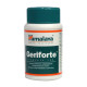 Geriforte 100 comprimés